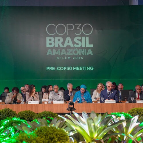 COP 30 deve marcar virada da retórica à ação climática, avalia especialista
