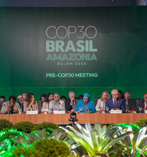 COP 30 deve marcar virada da retórica à ação climática, avalia especialista