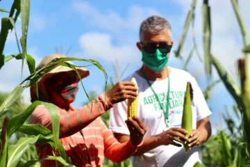 Emater-Pará apresenta painéis sobre sustentabilidade, inclusão digital e agricultura familiar durante a COP30