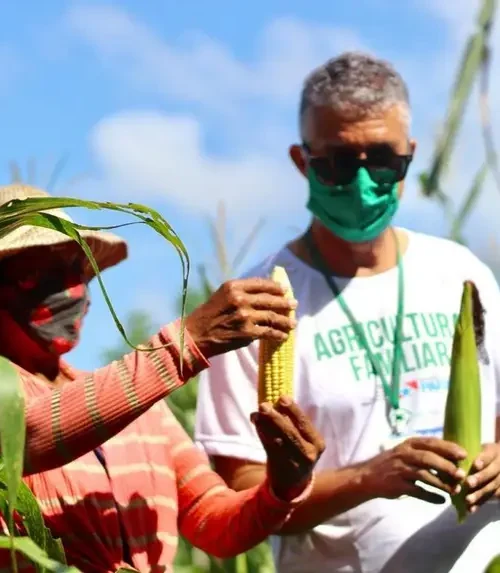 Emater-Pará apresenta painéis sobre sustentabilidade, inclusão digital e agricultura familiar durante a COP30