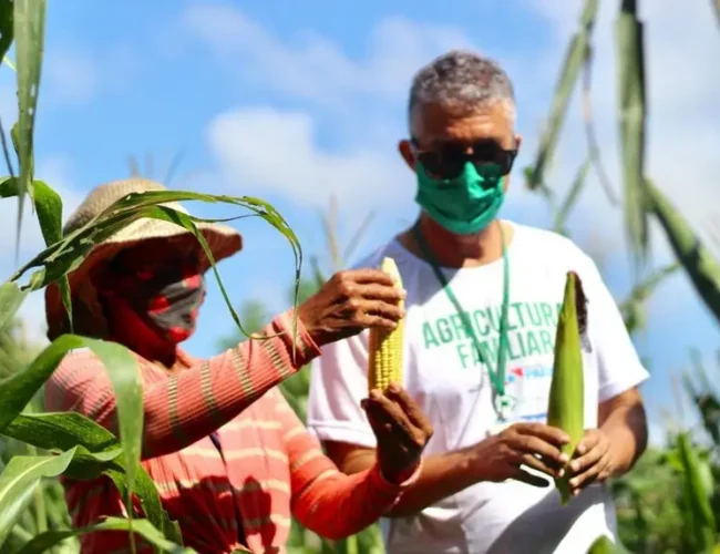 Emater-Pará apresenta painéis sobre sustentabilidade, inclusão digital e agricultura familiar durante a COP30