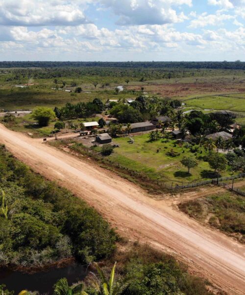 Abertura de ramais avança sobre áreas protegidas no interflúvio Purus-Madeira
