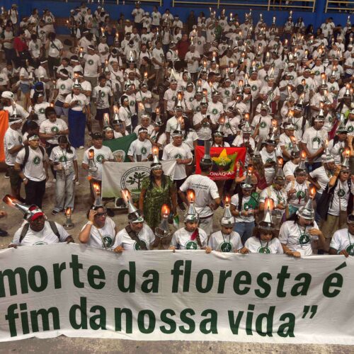 CNS mobiliza extrativistas e leva pautas dos territórios à COP30 em Belém