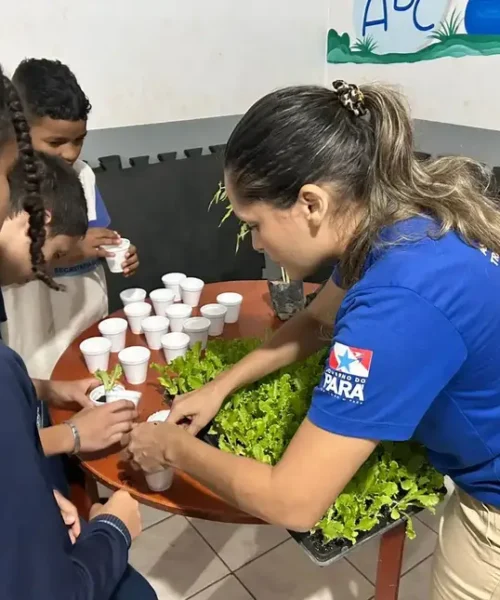 Pará recebe  Prêmio Brasil Sem Fome por avanços na segurança alimentar e expansão do Sisan
