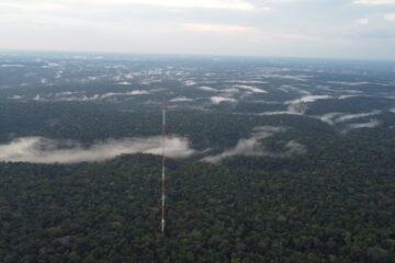 Inpa leva protagonismo científico da Amazônia à COP30 em Belém