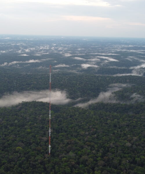 Inpa leva protagonismo científico da Amazônia à COP30 em Belém
