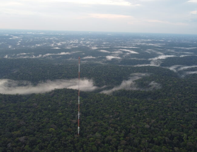 Inpa leva protagonismo científico da Amazônia à COP30 em Belém
