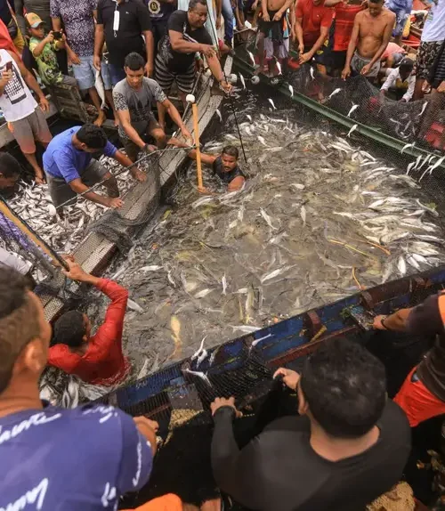 Pará prorroga Acordo de Pesca no Tapajós-Arapiuns e reforça proteção ambiental e tradições ribeirinhas