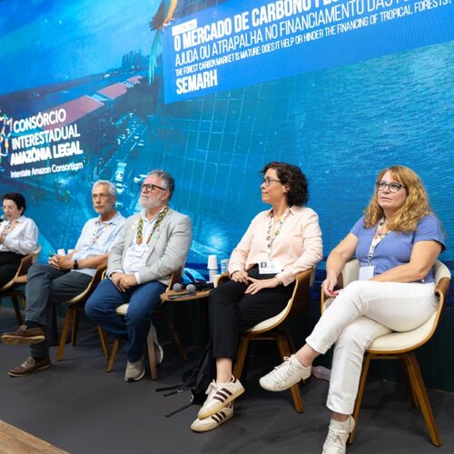 Tocantins encerra participação na COP30 com avanços na agenda climática e interesse internacional por créditos de carbono