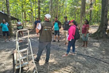 Curso de boas práticas reforça expansão da avicultura no interior do Amazonas