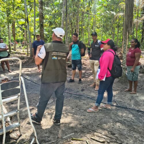 Curso de boas práticas reforça expansão da avicultura no interior do Amazonas