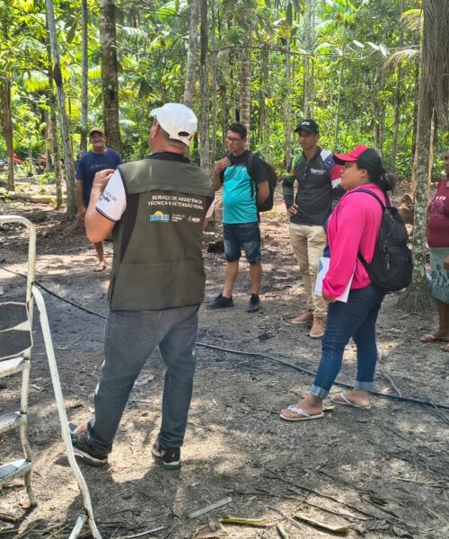 Curso de boas práticas reforça expansão da avicultura no interior do Amazonas