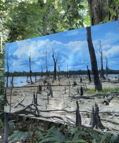 Exposição ” Amazônia a Olhos Vistos” abre ao público em Manaus no Bosque da Ciência