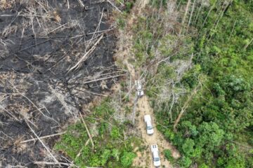 Operação Tamoiotatá aplica mais de R$ 144 milhões em multas ambientais no sul do Amazonas em 2025