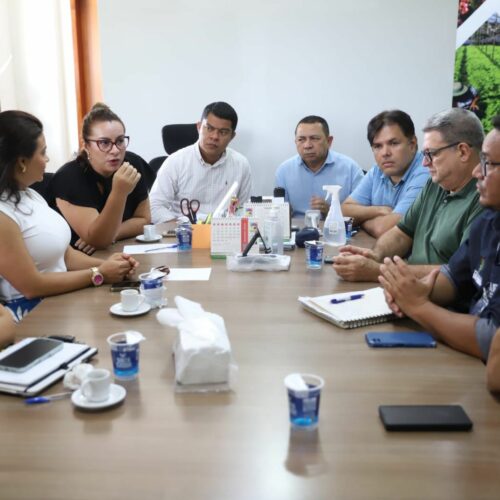 Amazonas articula ações integradas para conter avanço da mosca-da-carambola
