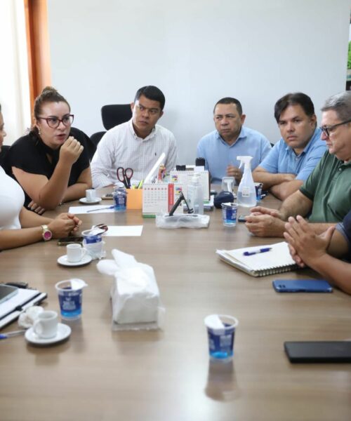 Amazonas articula ações integradas para conter avanço da mosca-da-carambola