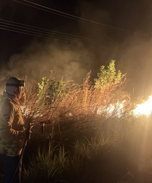 Operação Verão Sem Fogo reforça combate às queimadas em Roraima durante período de estiagem