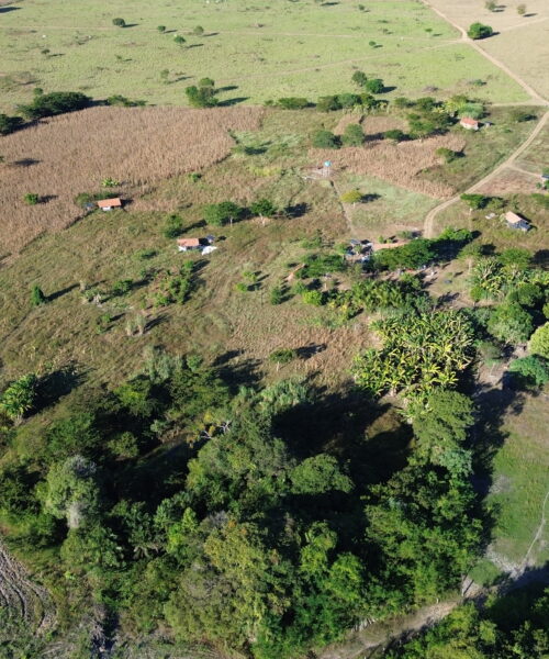 Tocantins oficializa demarcação da Reserva Indígena Crim Patehi para o povo Kanela