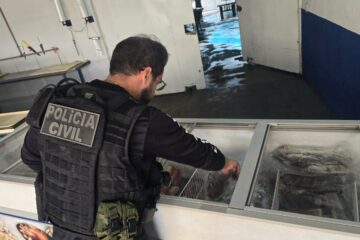 Operação em Cuiabá apreende mais de 2 toneladas de pescado irregular e prende dois suspeitos