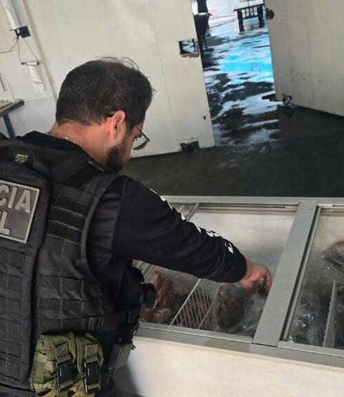 Operação em Cuiabá apreende mais de 2 toneladas de pescado irregular e prende dois suspeitos