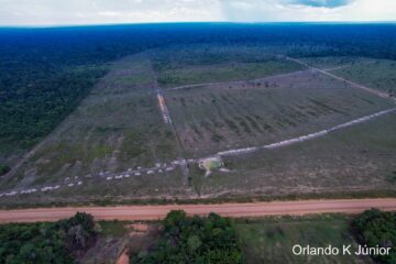 Povos indígenas concentram soluções sustentáveis para impactos da BR-319, aponta pesquisador do INPA