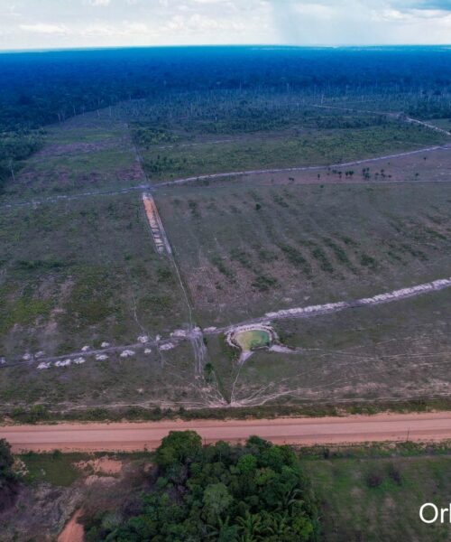 Povos indígenas concentram soluções sustentáveis para impactos da BR-319, aponta pesquisador do INPA