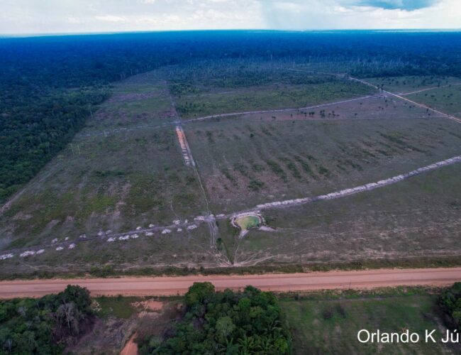 Povos indígenas concentram soluções sustentáveis para impactos da BR-319, aponta pesquisador do INPA