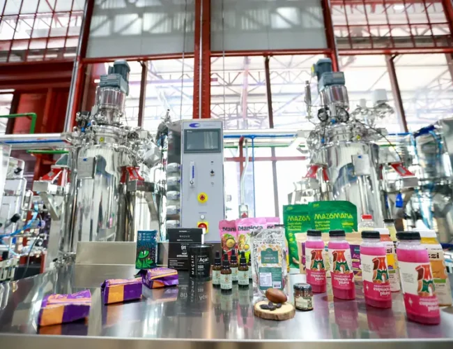 Parque de Bioeconomia da Amazônia atrai mais de 13 mil visitantes e se consolida como polo de inovação em Belém