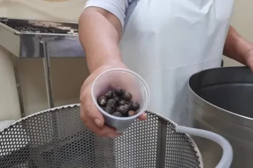 Sespa realiza treinamento para reforçar boas práticas de manipulação do açaí no Pará