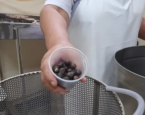 Sespa realiza treinamento para reforçar boas práticas de manipulação do açaí no Pará