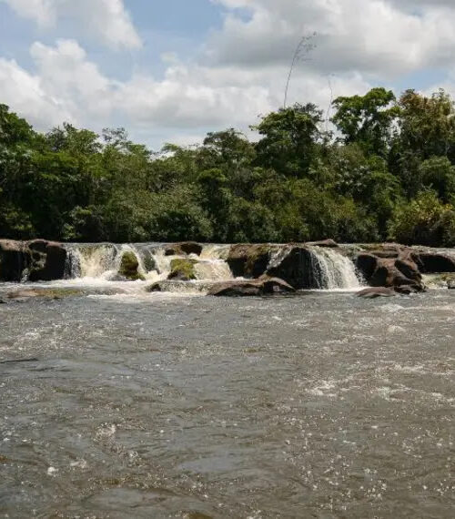 RDS do Rio Iratapuru se torna primeira unidade estadual do Brasil na Lista Verde da UICN