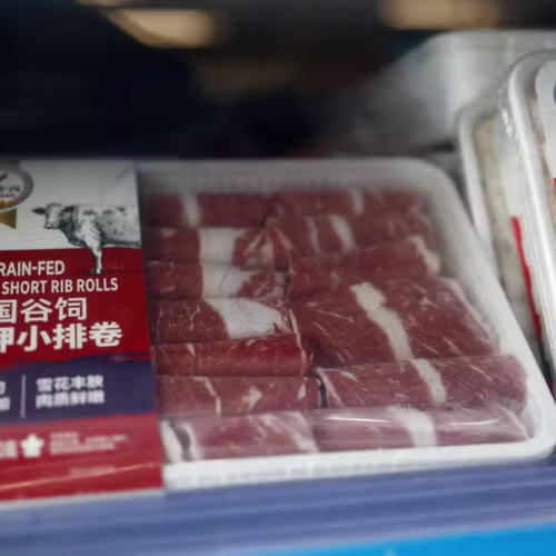 Taxação da carne bovina brasileira pela China