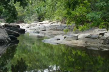 Novas unidades de conservação municipais impulsionam economia local e preservação ambiental no Pará