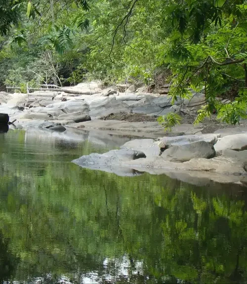 Novas unidades de conservação municipais impulsionam economia local e preservação ambiental no Pará