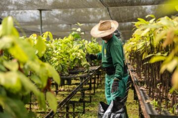 Acre cria Selo da Agricultura Familiar e garante prioridade em compras públicas aos agricultores familiares