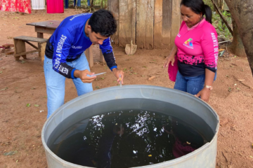Roraima reduz em quase 30% os casos prováveis de dengue em 2025, aponta Sesau