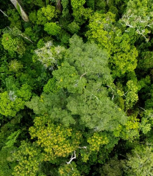 Acre registra redução histórica de 75% nos focos de queimadas em 2025, aponta governo estadual