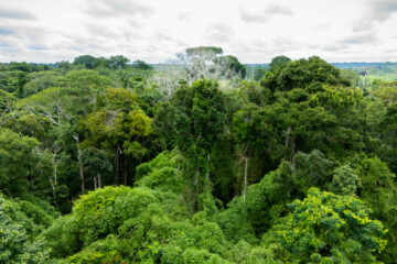 Governo do Acre sanciona lei que cria plataforma digital para ampliar transparência ambiental e participação social
