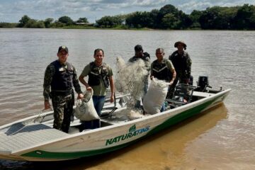 Mais de 149 mil pescadores artesanais começam a receber seguro-defeso retroativo