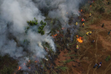 Naturatins registra queda de mais de 30% em área afetada por incêndios nas Unidades de Conservação do Tocantins em 2025