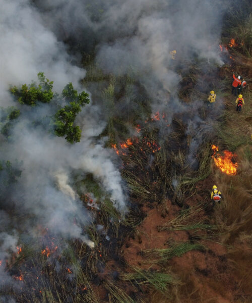 Naturatins registra queda de mais de 30% em área afetada por incêndios nas Unidades de Conservação do Tocantins em 2025