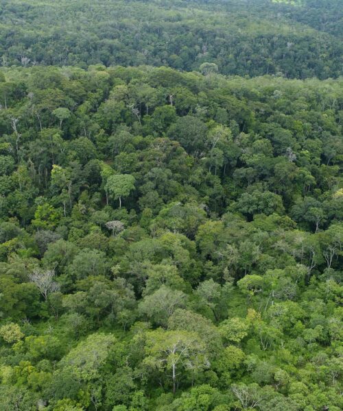Tocantins reduz desmatamento em mais de 20% e áreas queimadas em cerca de 34% em 2025, aponta CIGMA
