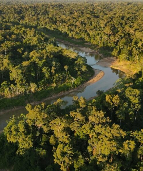 Governo Federal reconhece parques do Acre como destinos estratégicos para o turismo de aves