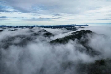 Expedição levará empresários à floresta para conhecer iniciativas de bioeconomia no Acre