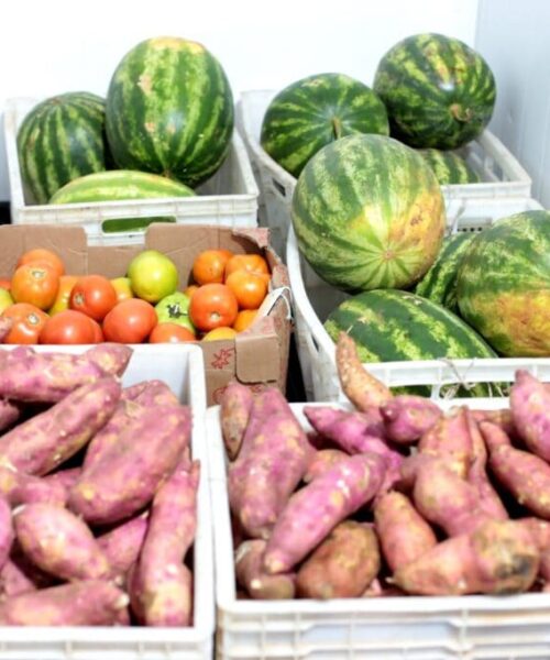 Programa de Aquisição de Alimentos destina mais de R$ 3 milhões à agricultura familiar no Acre