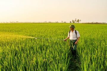 Resíduos de agrotóxicos em alimentos: monitoramento constata boa qualidade