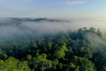 SescTV exibe episódios inéditos da série “São Florestas” alinhados aos objetivos de desenvolvimento sustentável