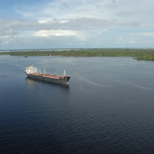 Crédito de carbono para florestas: – 7. Conclusões