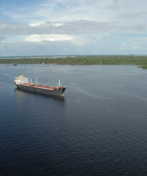 Crédito de carbono para florestas: – 7. Conclusões