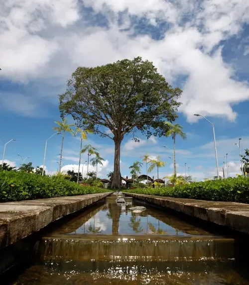 Governo do Pará vai construir escola ambiental no Parque do Utinga e integra educação à conservação